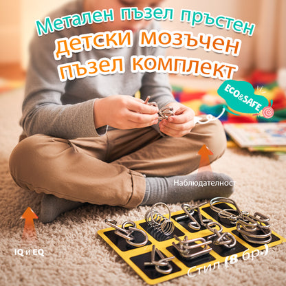 IQ Toys образователни интелектуални играчки, метални пъзели Задача за ума