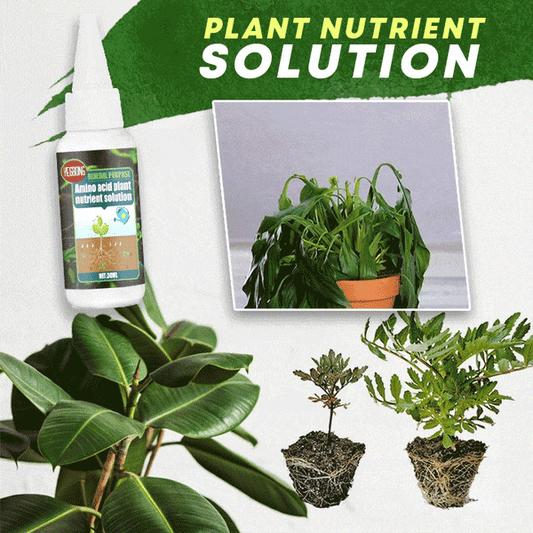🔥 Разтвор за растителни торове – Вдъхва нов живот на увехналите растения 🌱✨