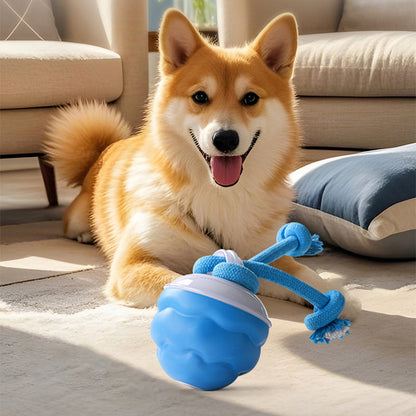 🐶Интерактивна, успокояваща играчка топка за домашни любимци
